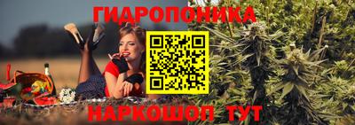 ПСИЛОЦИБИНОВЫЕ ГРИБЫ Будённовск