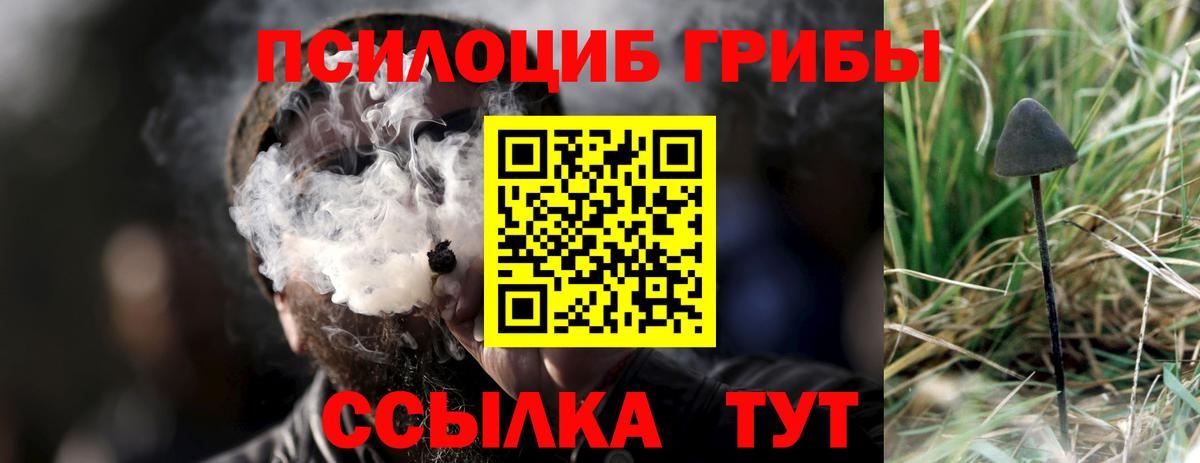 магазин    Вход с VPN  Нягань  Псилоцибиновые грибы Cubensis  Псилоцибиновые грибы Magic Shrooms 